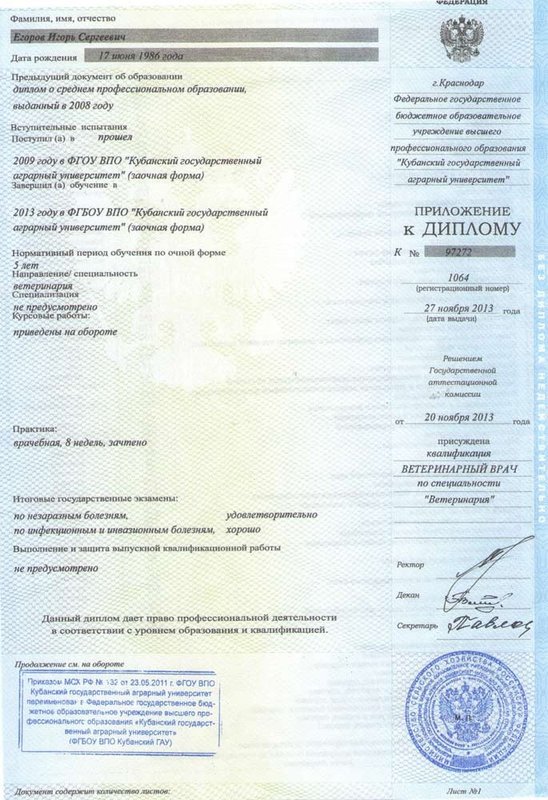 Документ или сертификат