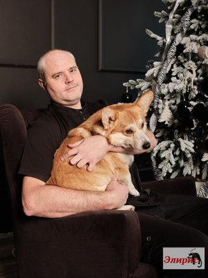 Фото врача Баранов Валерий Иванович