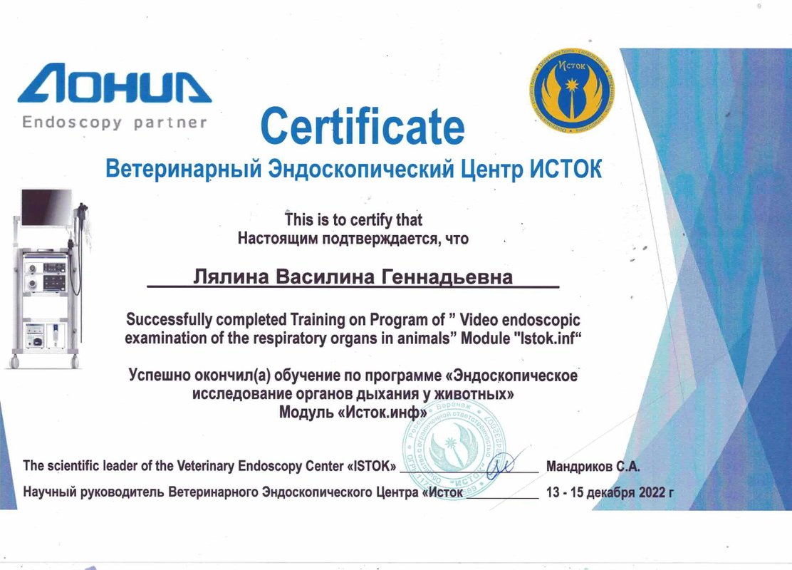 Документ или сертификат