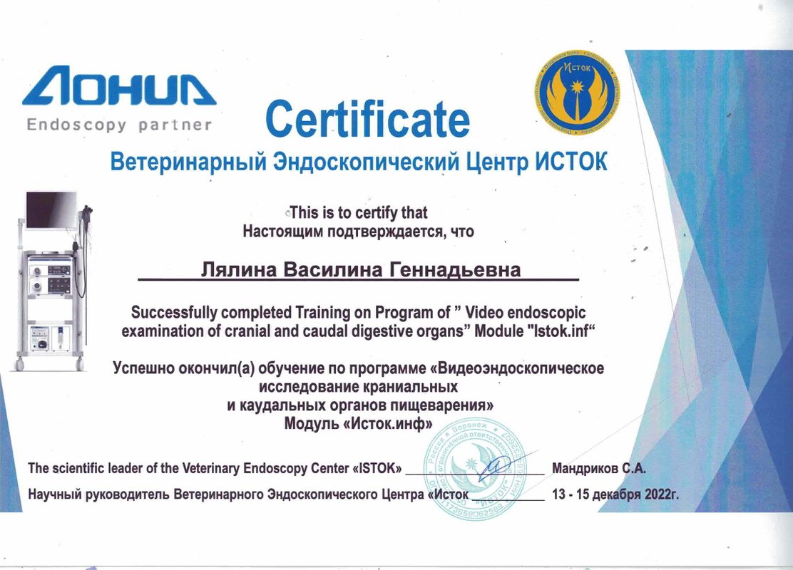 Документ или сертификат