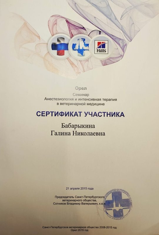 Документ или сертификат