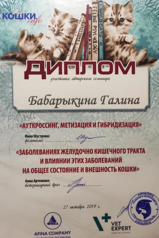Документ или сертификат