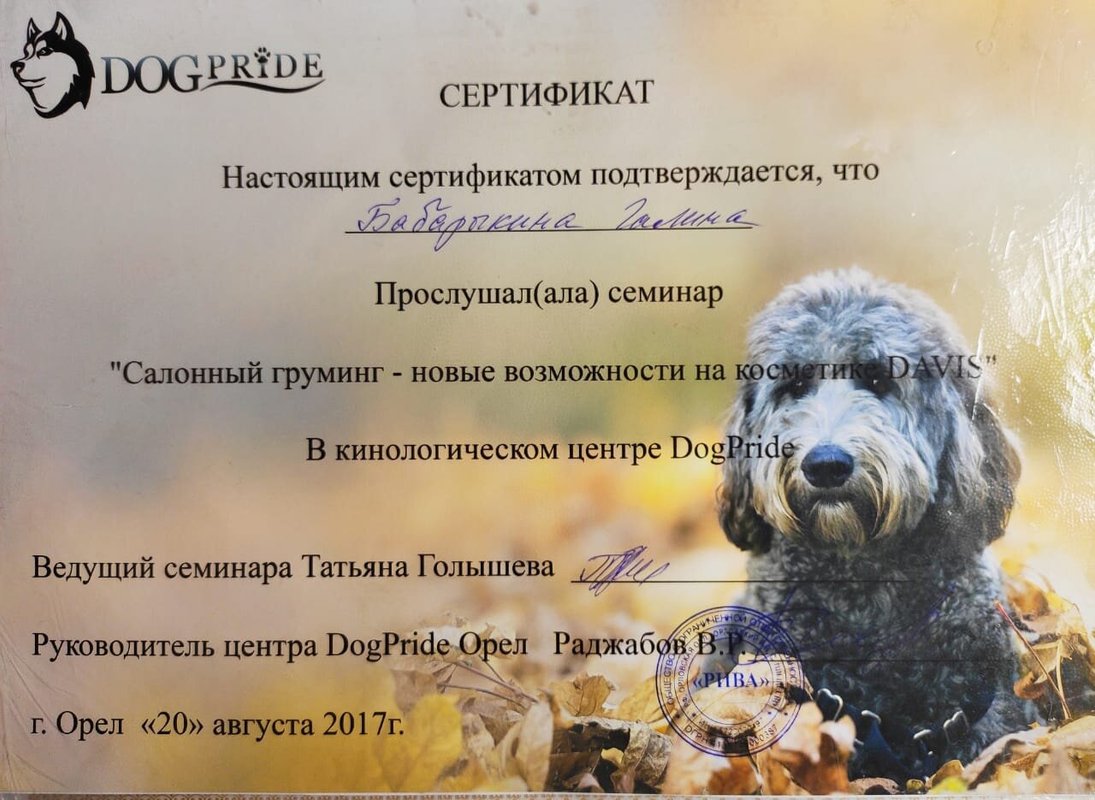 Документ или сертификат
