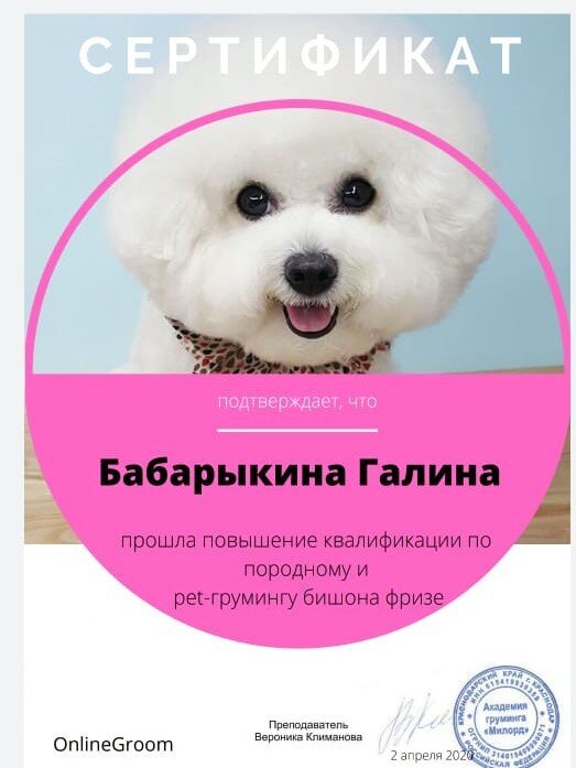 Документ или сертификат