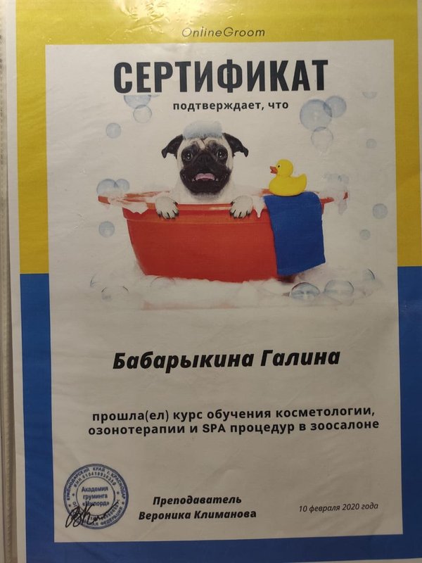 Документ или сертификат