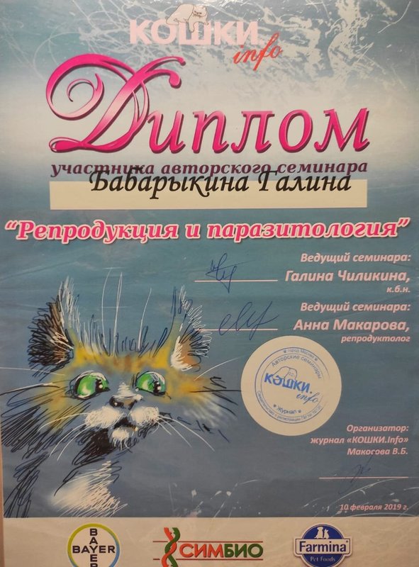 Документ или сертификат
