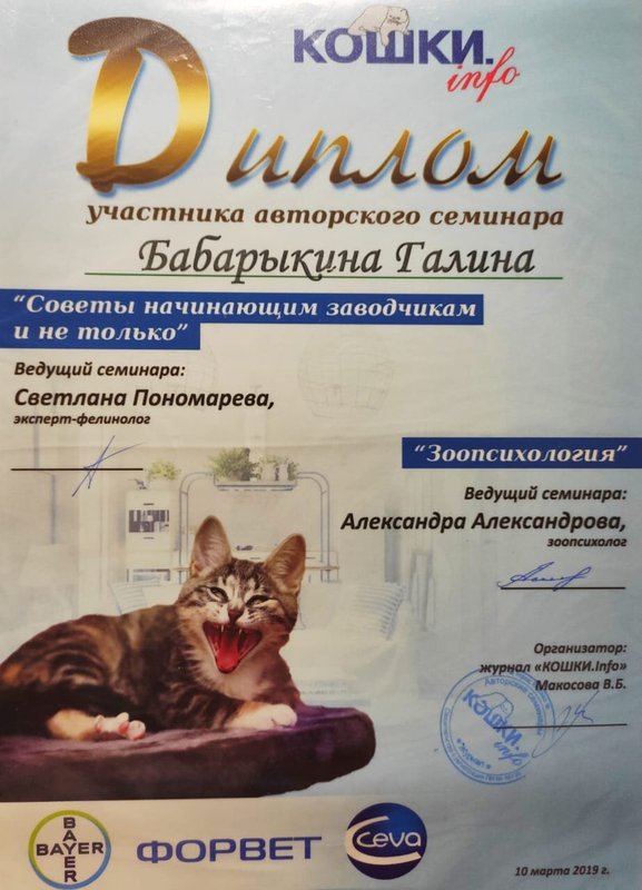 Документ или сертификат