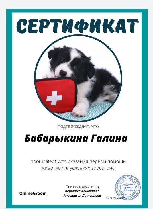 Документ или сертификат