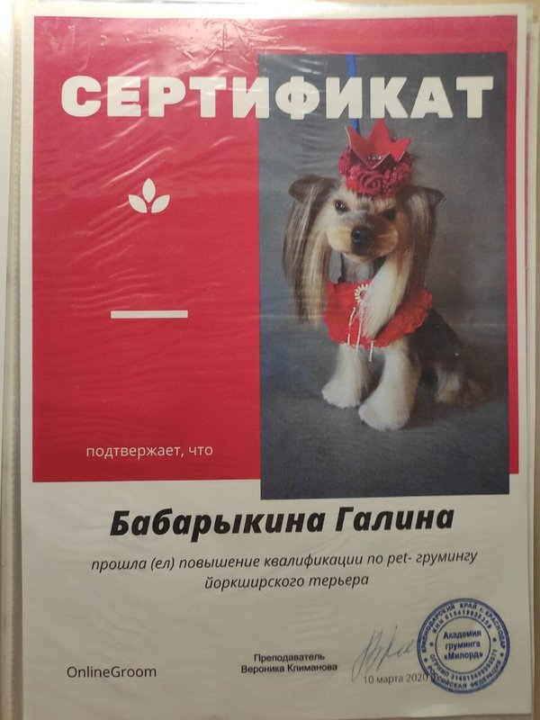 Документ или сертификат