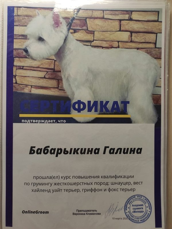 Документ или сертификат