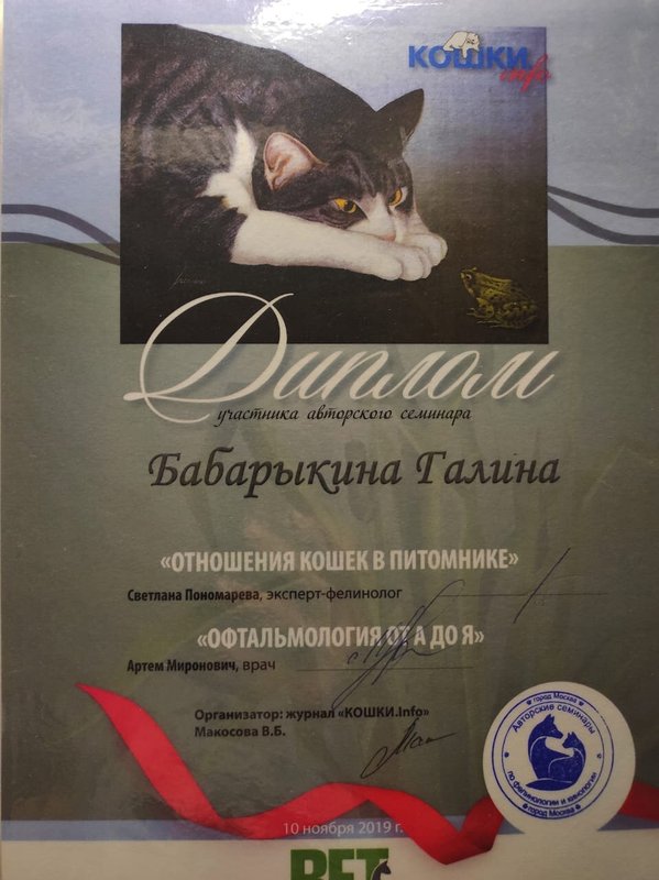 Документ или сертификат