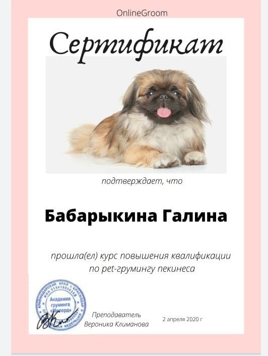 Документ или сертификат