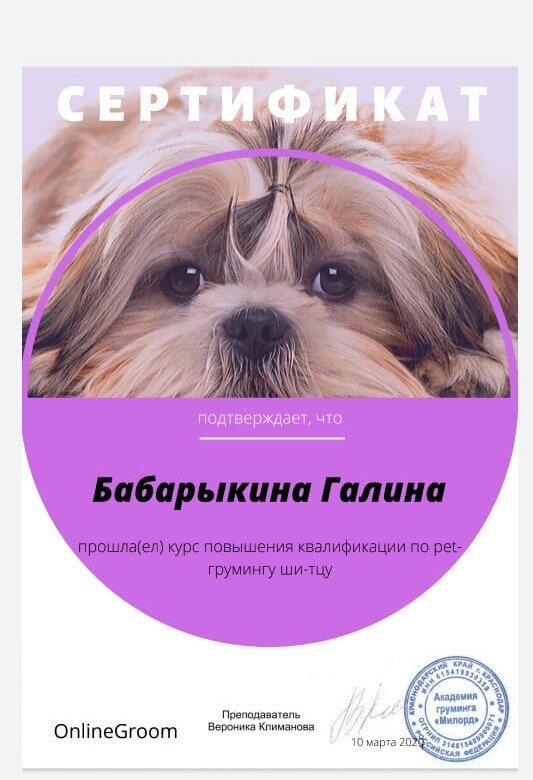 Документ или сертификат