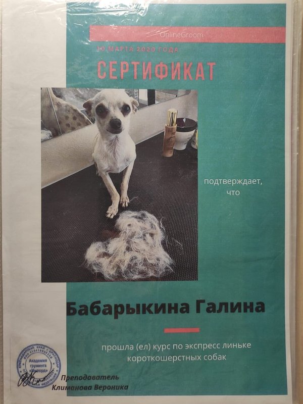 Документ или сертификат