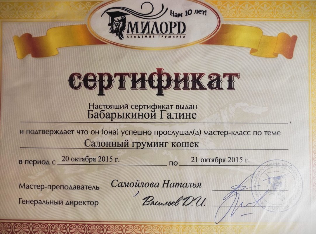 Документ или сертификат
