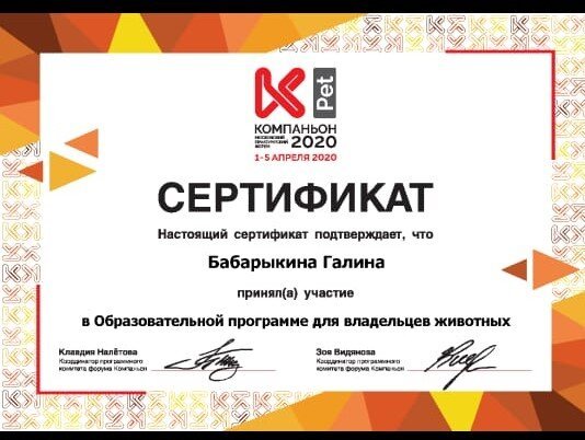 Документ или сертификат