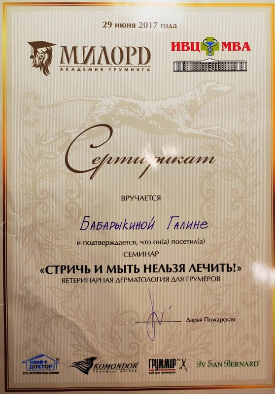 Документ или сертификат