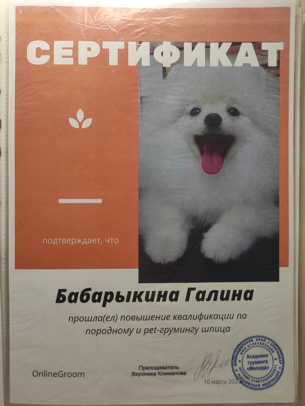 Документ или сертификат