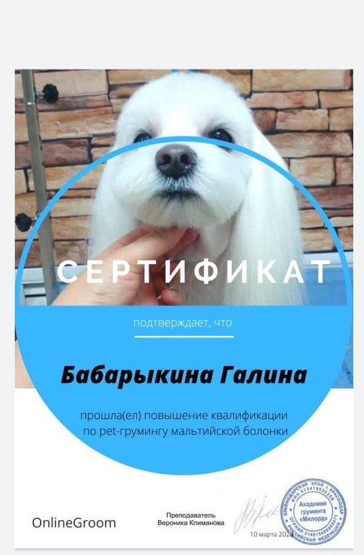 Документ или сертификат