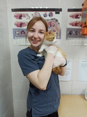 Фото врача Ульянова Александра Константиновна