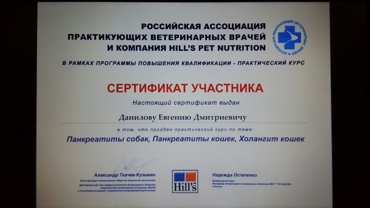 Документ или сертификат