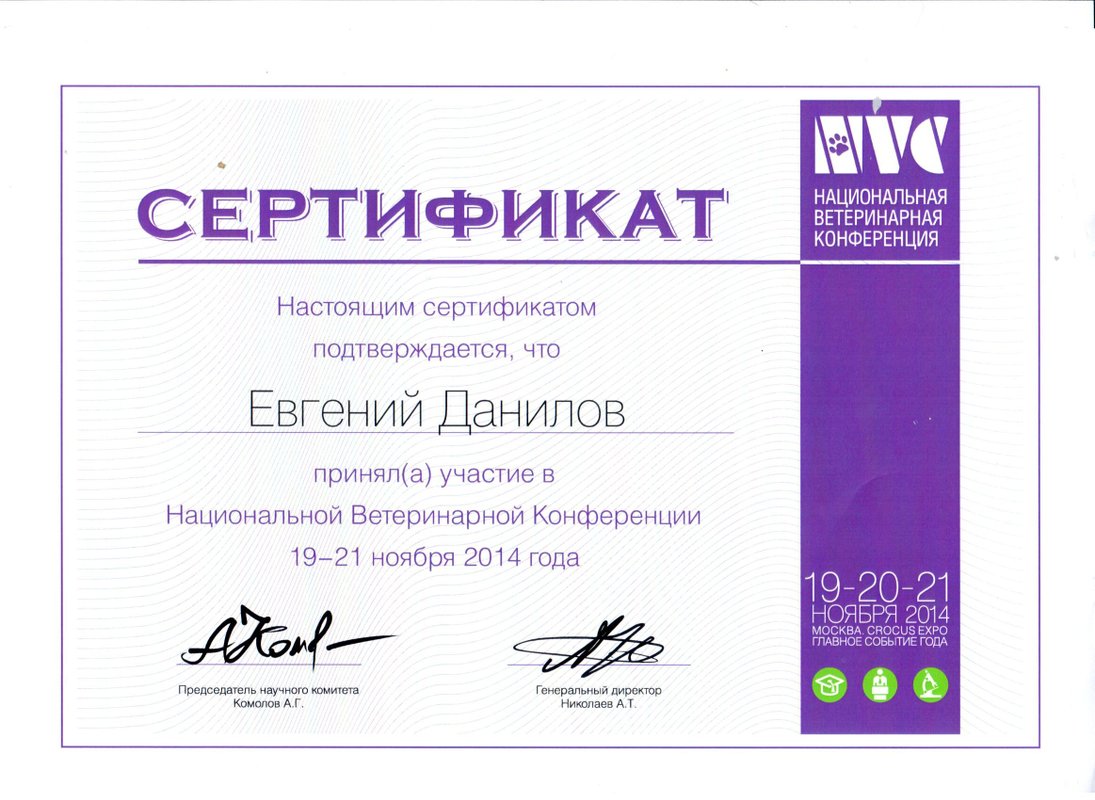 Документ или сертификат