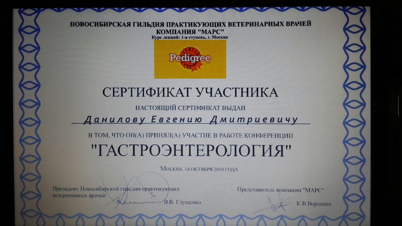 Документ или сертификат