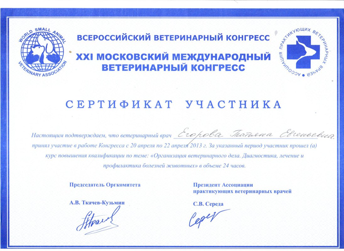 Документ или сертификат