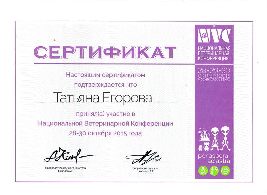 Документ или сертификат