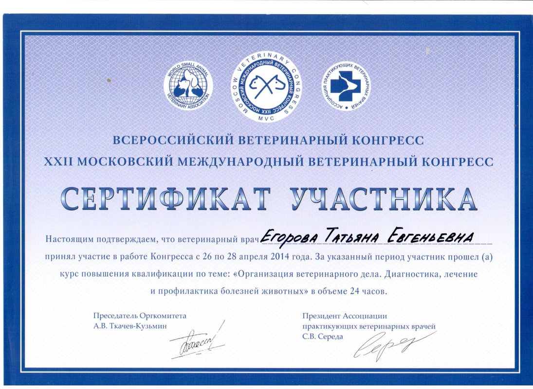 Документ или сертификат