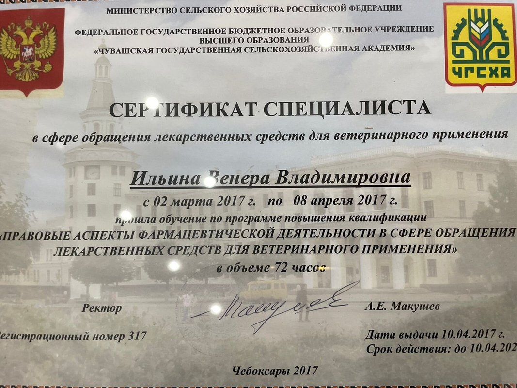 Документ или сертификат
