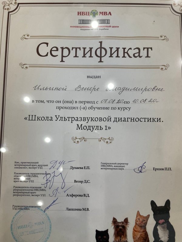 Документ или сертификат