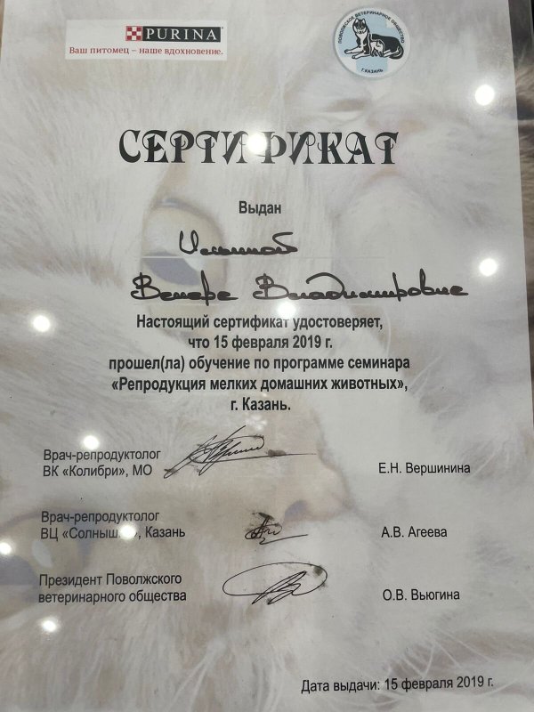 Документ или сертификат