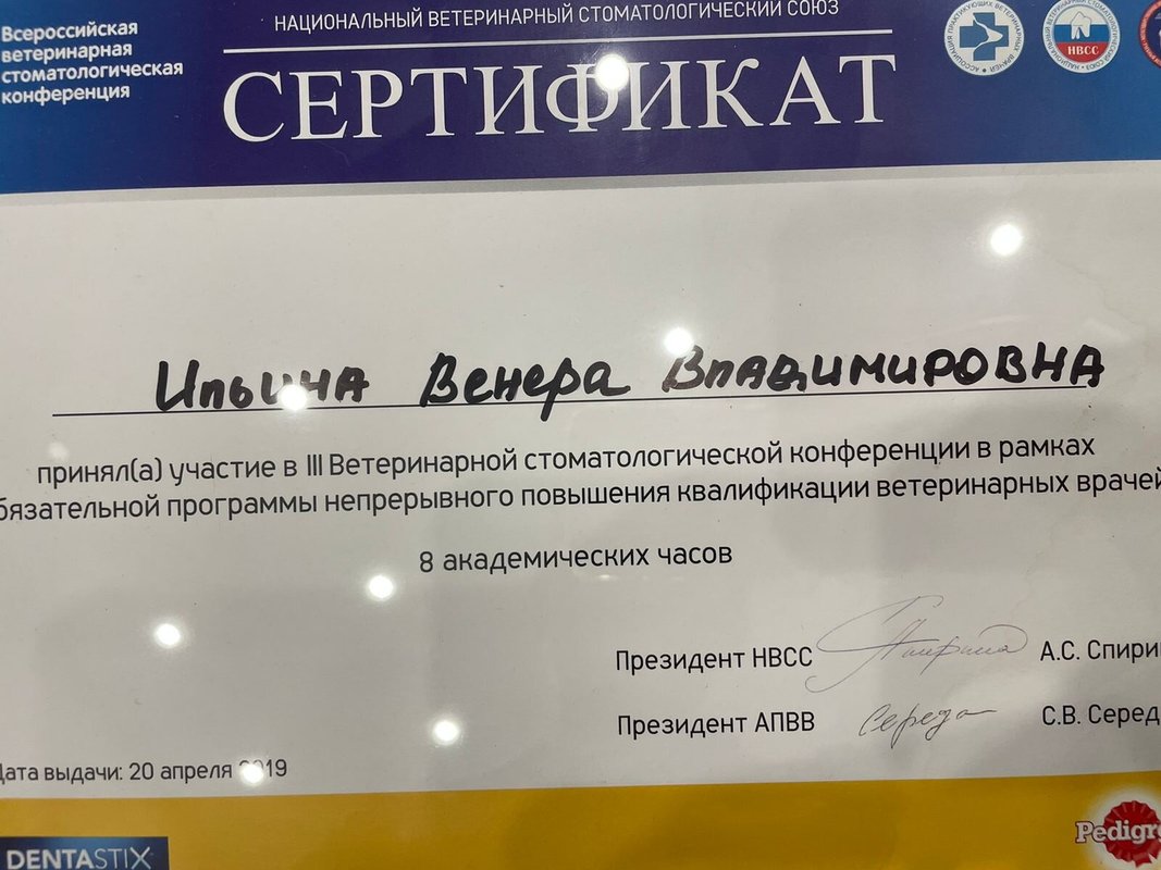 Документ или сертификат