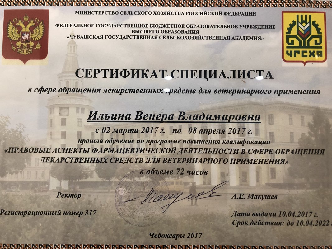 Документ или сертификат