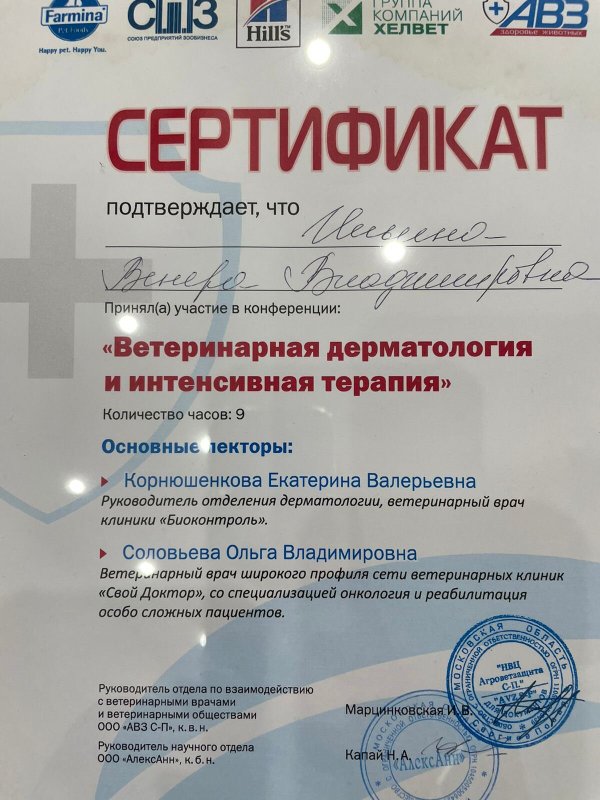 Документ или сертификат