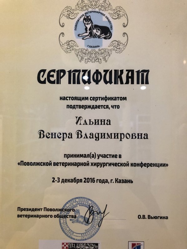 Документ или сертификат