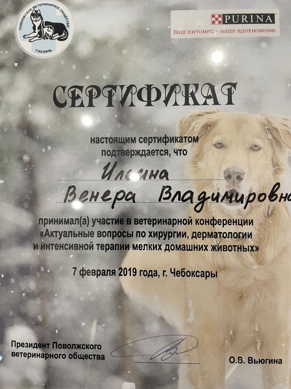 Документ или сертификат