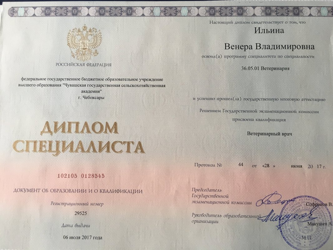 Документ или сертификат