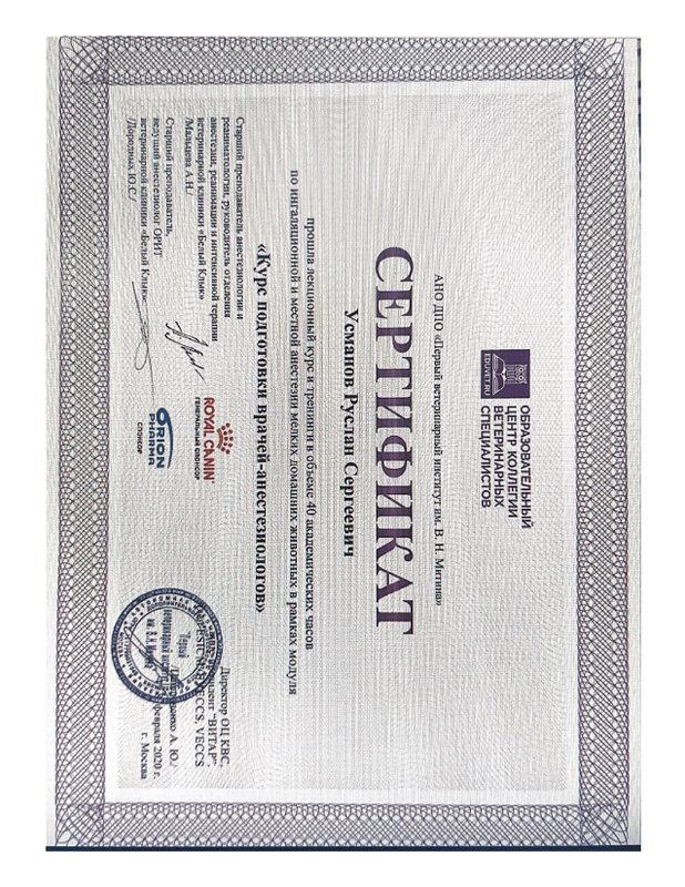 Документ или сертификат