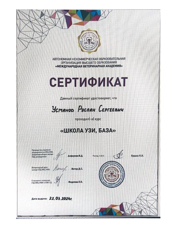 Документ или сертификат