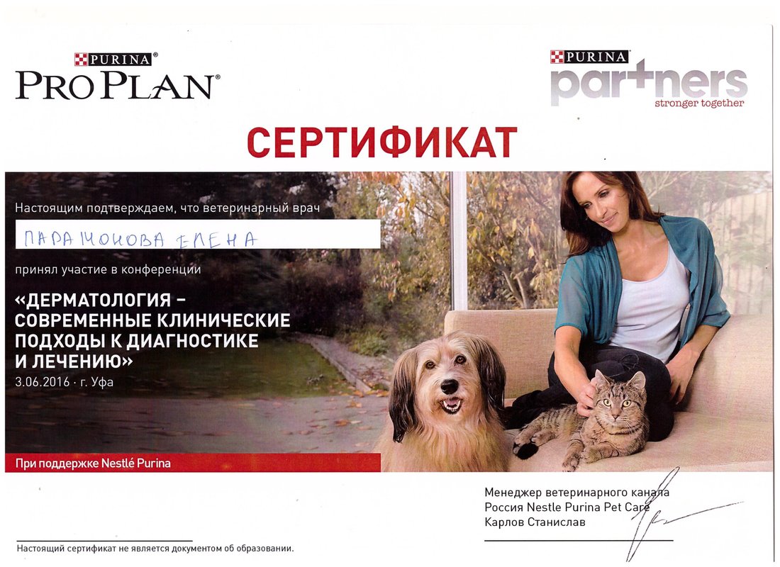 Документ или сертификат