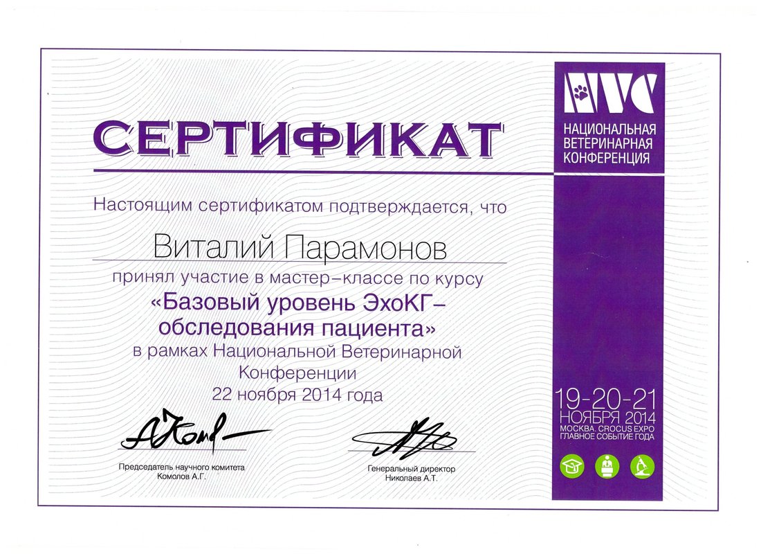 Документ или сертификат