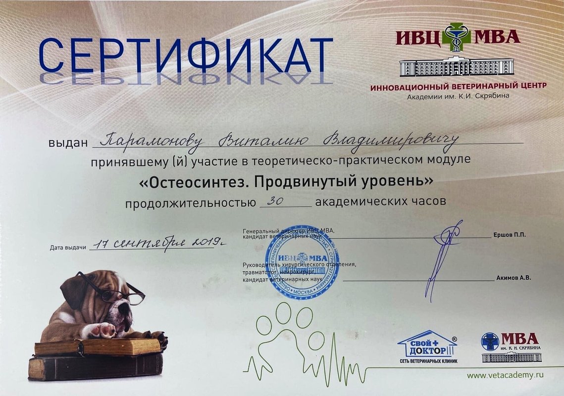 Документ или сертификат