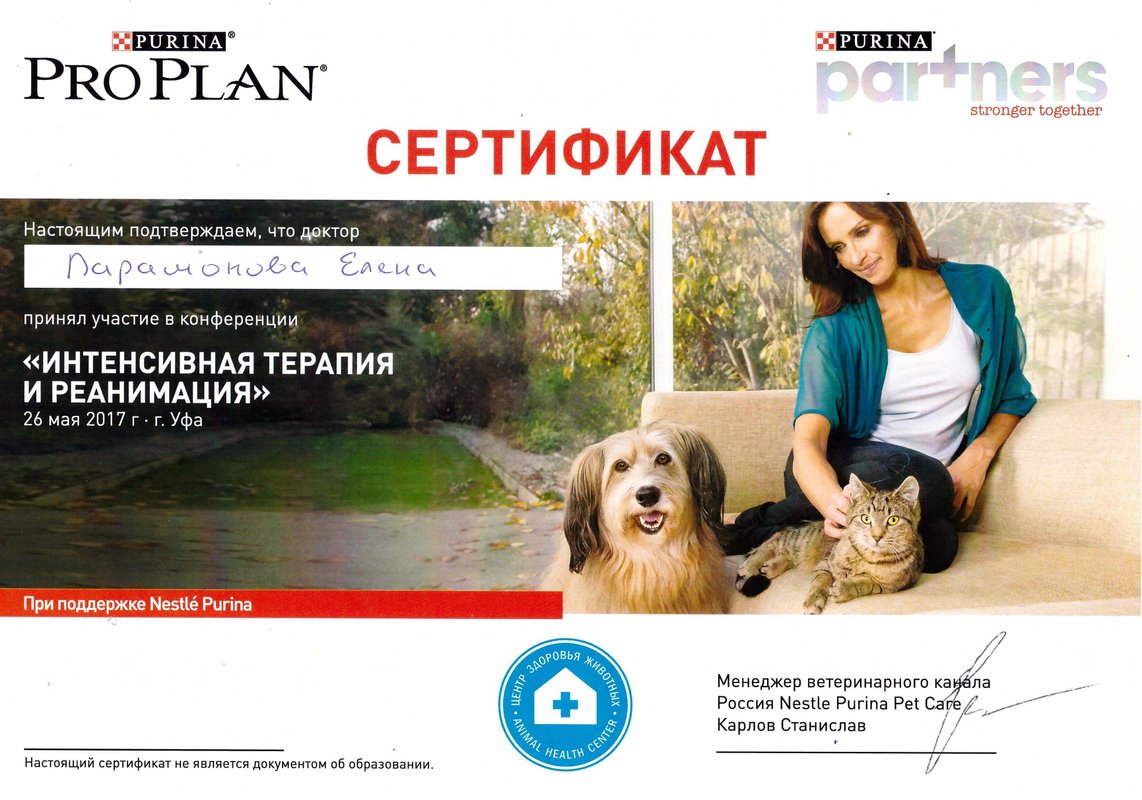 Документ или сертификат