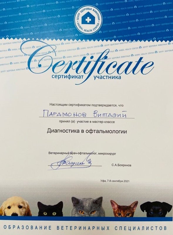 Документ или сертификат