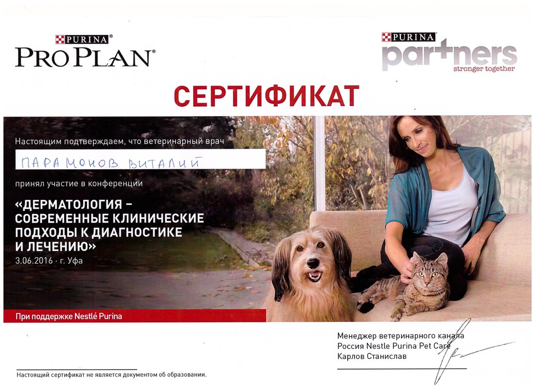 Документ или сертификат