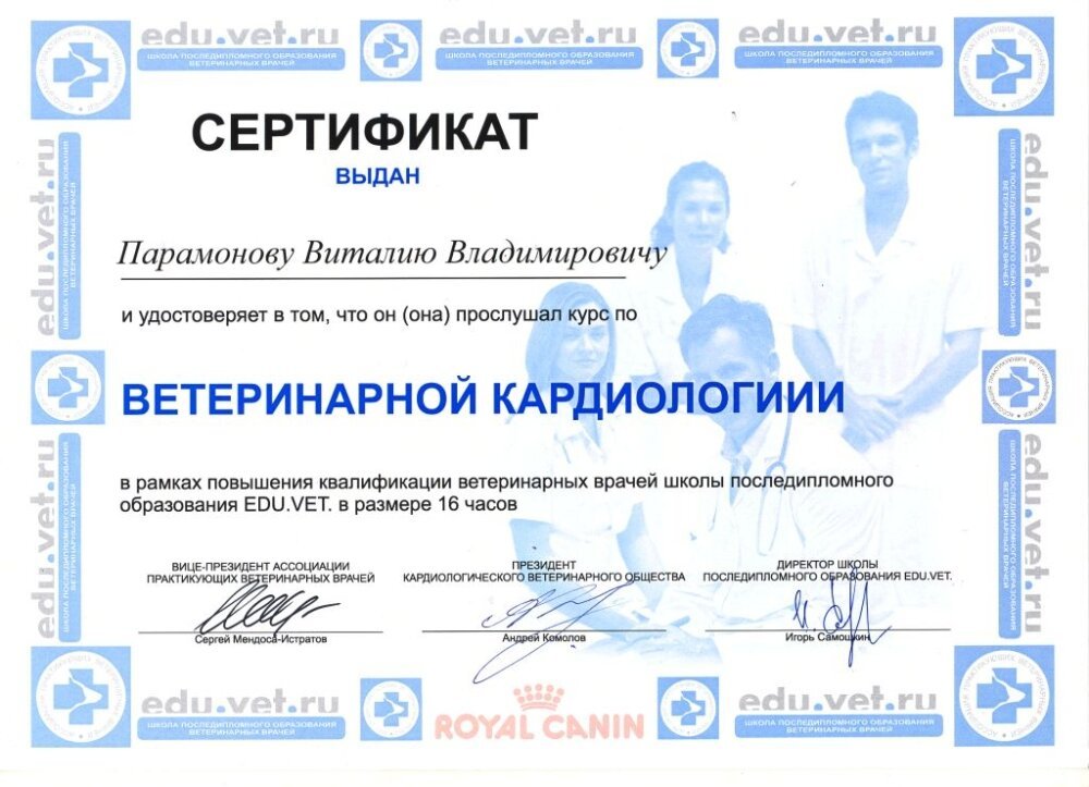 Документ или сертификат