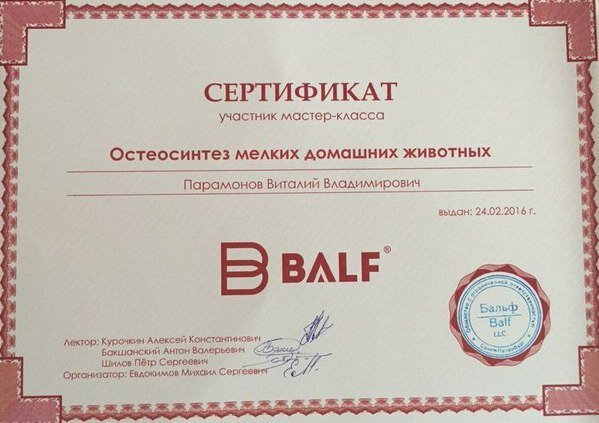 Документ или сертификат