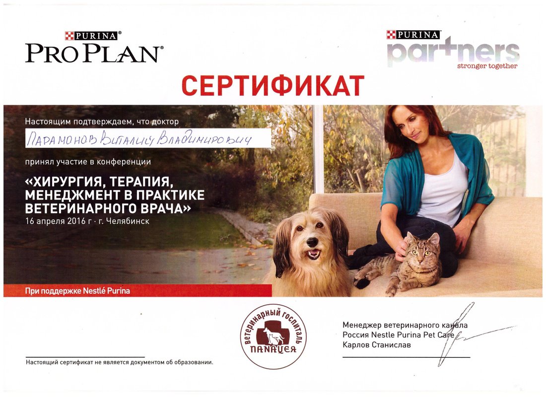 Документ или сертификат